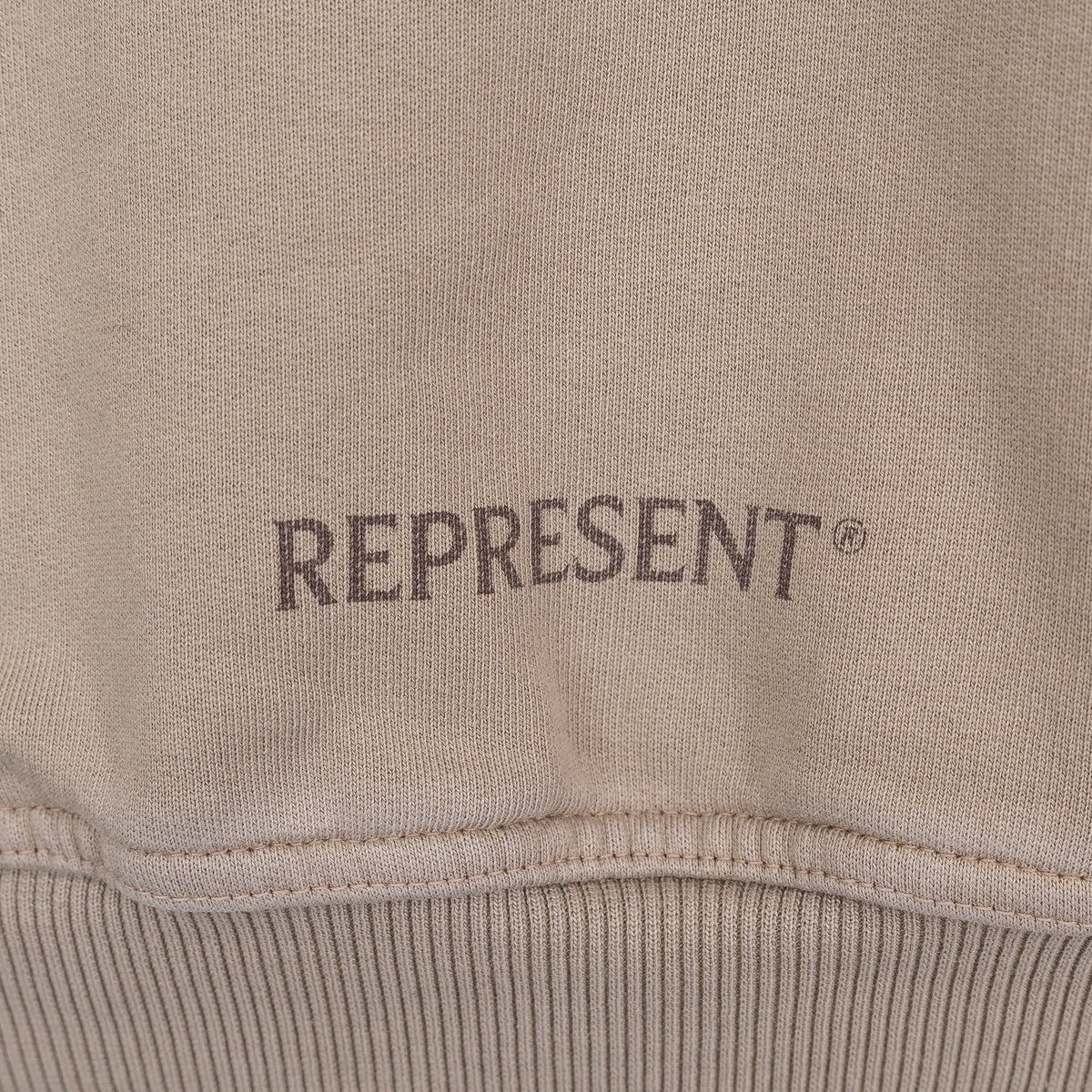 Load image into Gallery viewer, Represent Washed Taupe Horizons Hoodie
